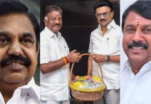 O.P.S Steps Away from the BJP Alliance – Who Will Be Affected?